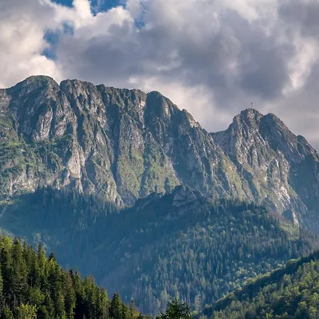 Tatry Mozaika Premium & - Sauna, Jacuzzi, Flipper By Rentilopl Willa Zakopane